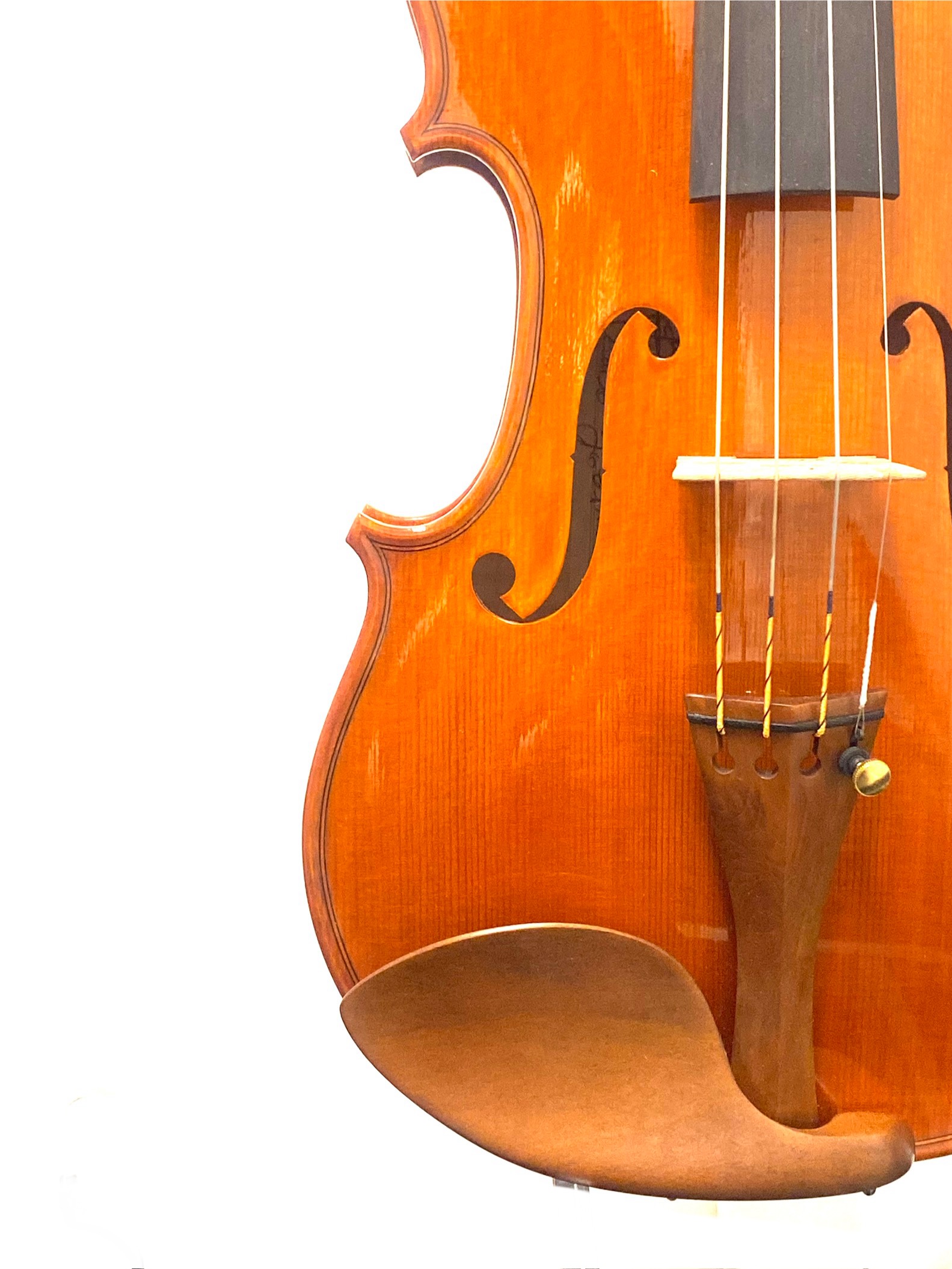 【Violin】Danilo Fiorentini 2025(ダニーロ・フィオレンティーニ)