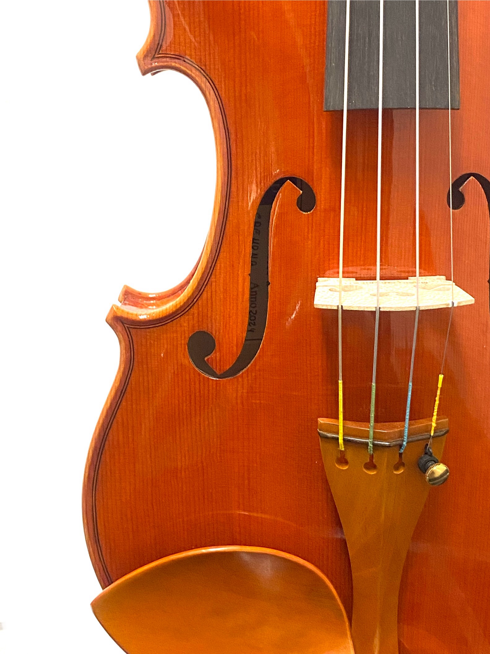 【Violin】Mario Pulvirenti 2024(マリオ・プルヴィレンティ)