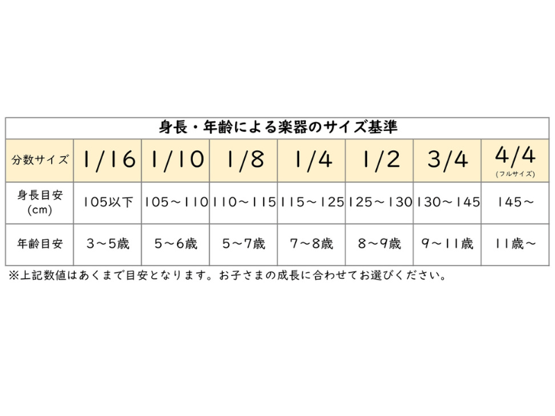 EASTMAN VL80（イーストマン）分数ヴァイオリンセット<1/16～3/4