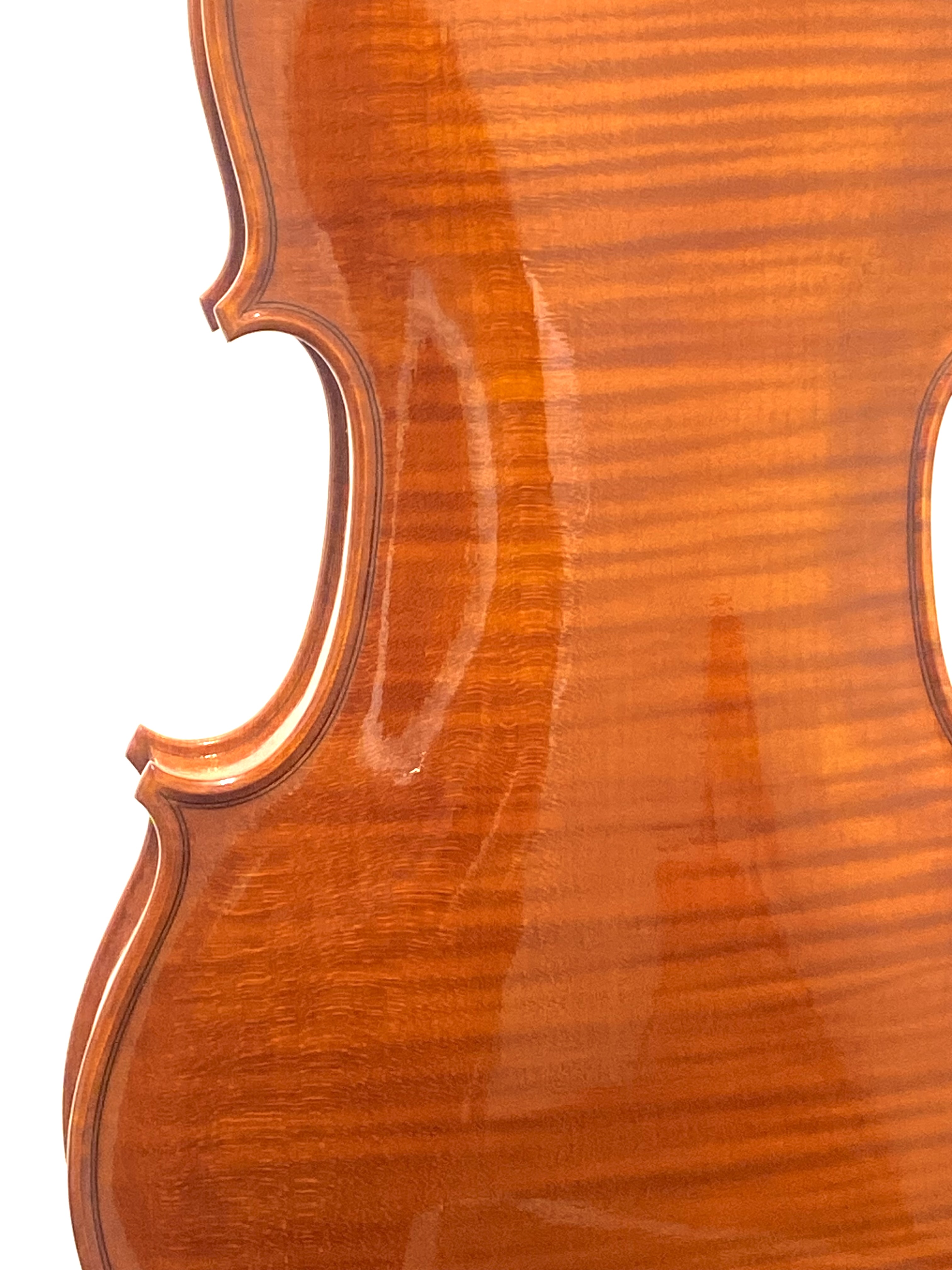 【Violin】Danilo Fiorentini 2025(ダニーロ・フィオレンティーニ)