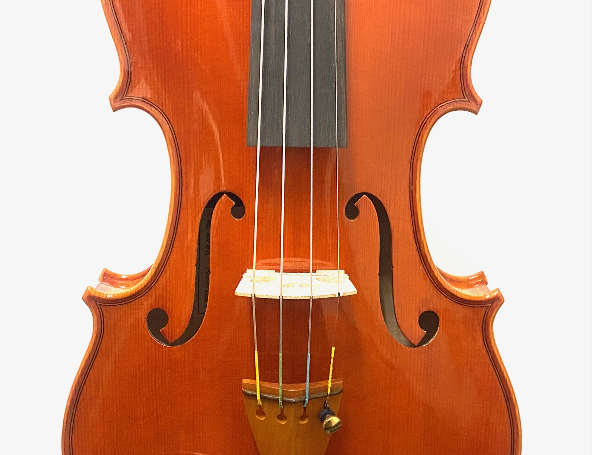 【Violin】Mario Pulvirenti 2024(マリオ・プルヴィレンティ)