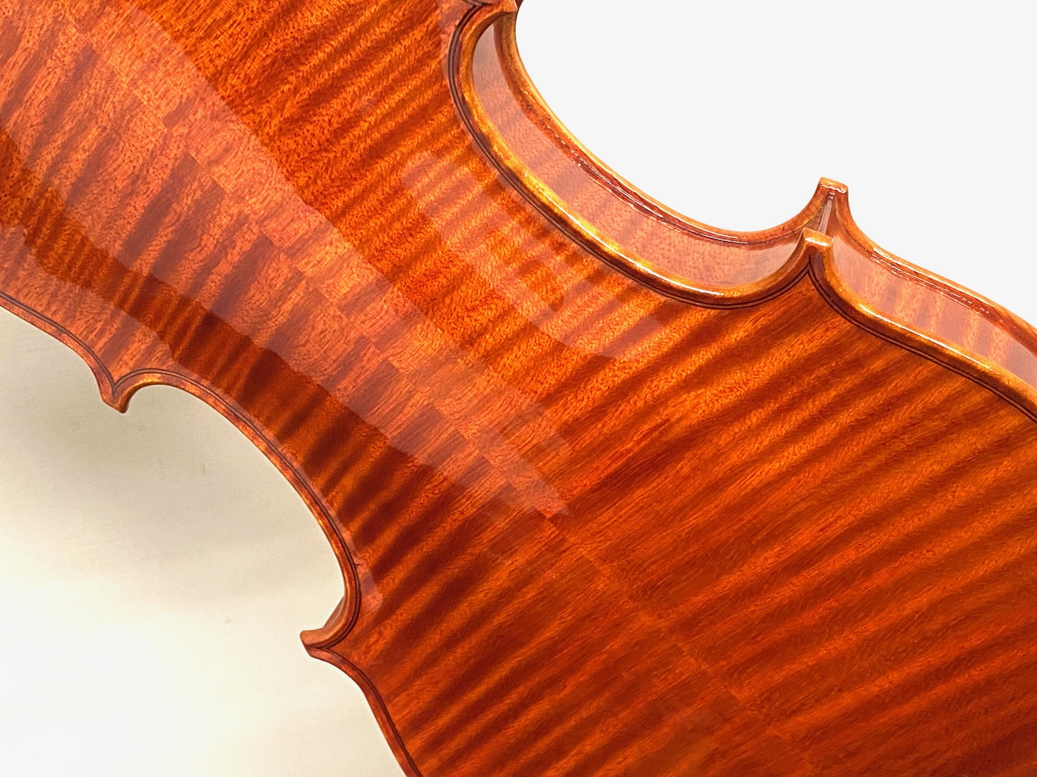 【Violin】Mario Pulvirenti 2024(マリオ・プルヴィレンティ)