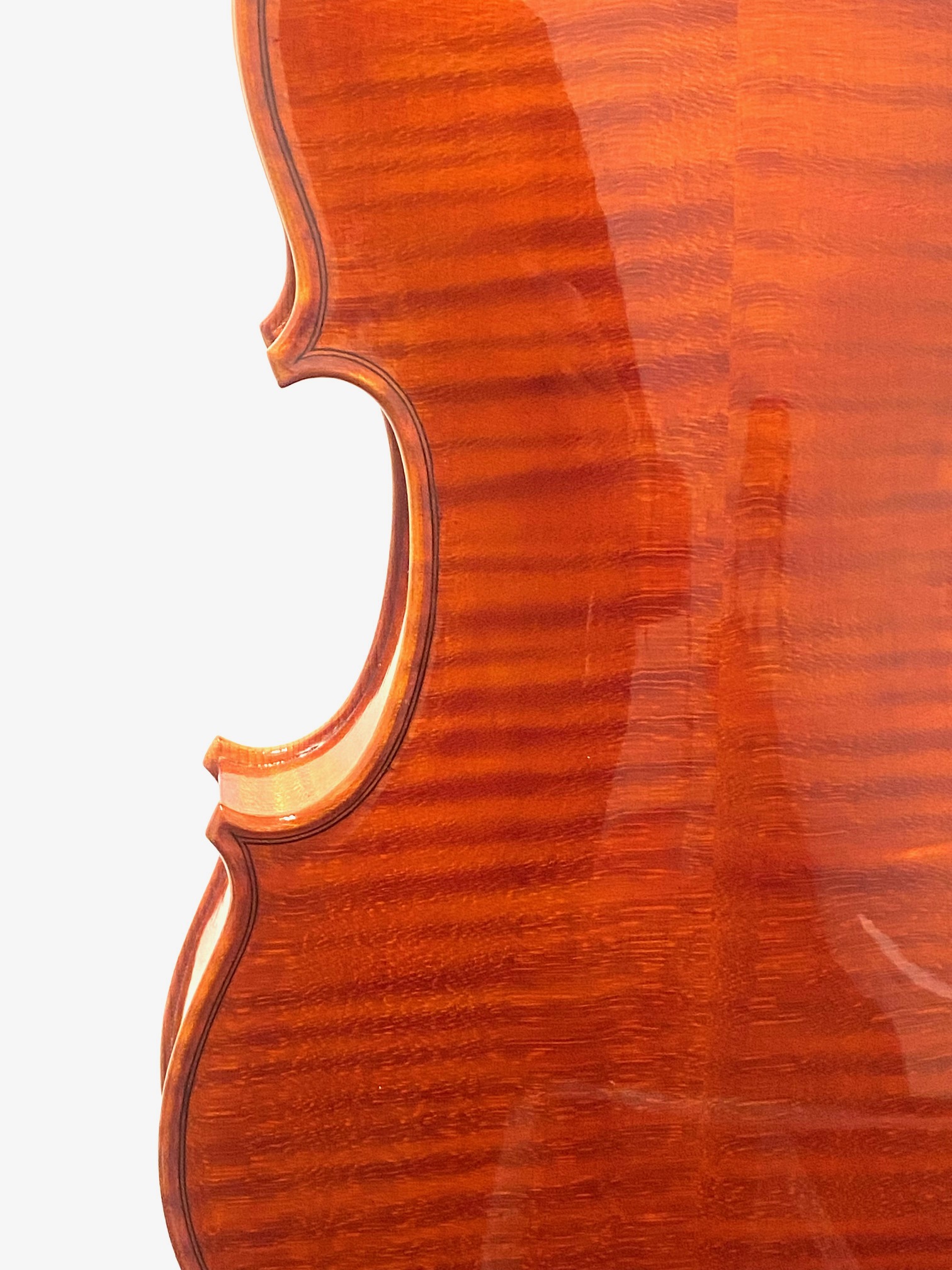 【Violin】Mario Pulvirenti 2024(マリオ・プルヴィレンティ)