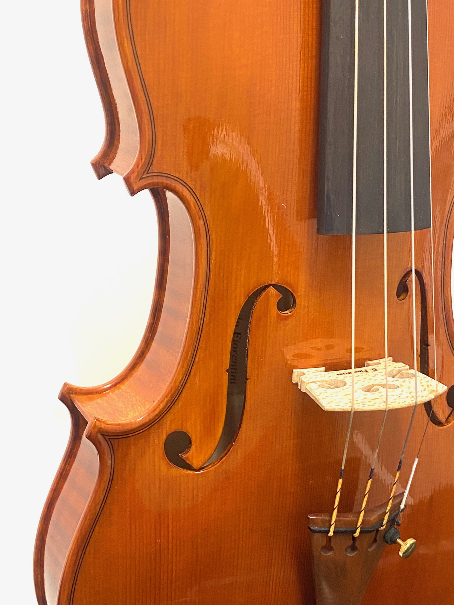 【Violin】Danilo Fiorentini 2025(ダニーロ・フィオレンティーニ)