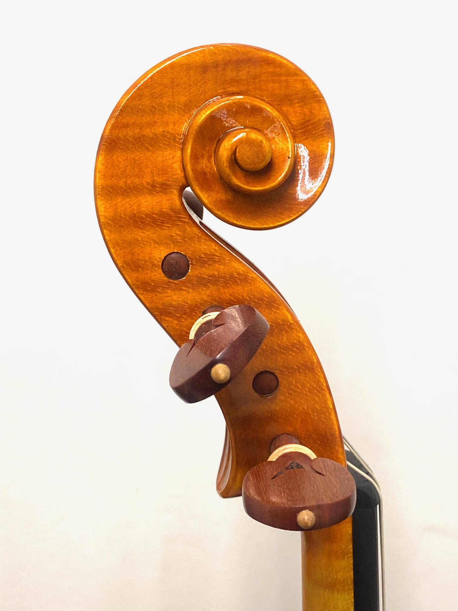 【Violin】Fabio Dalla Costa 2024(ファビオ・ダッラ・コスタ)40th Anniversary 記念モデル