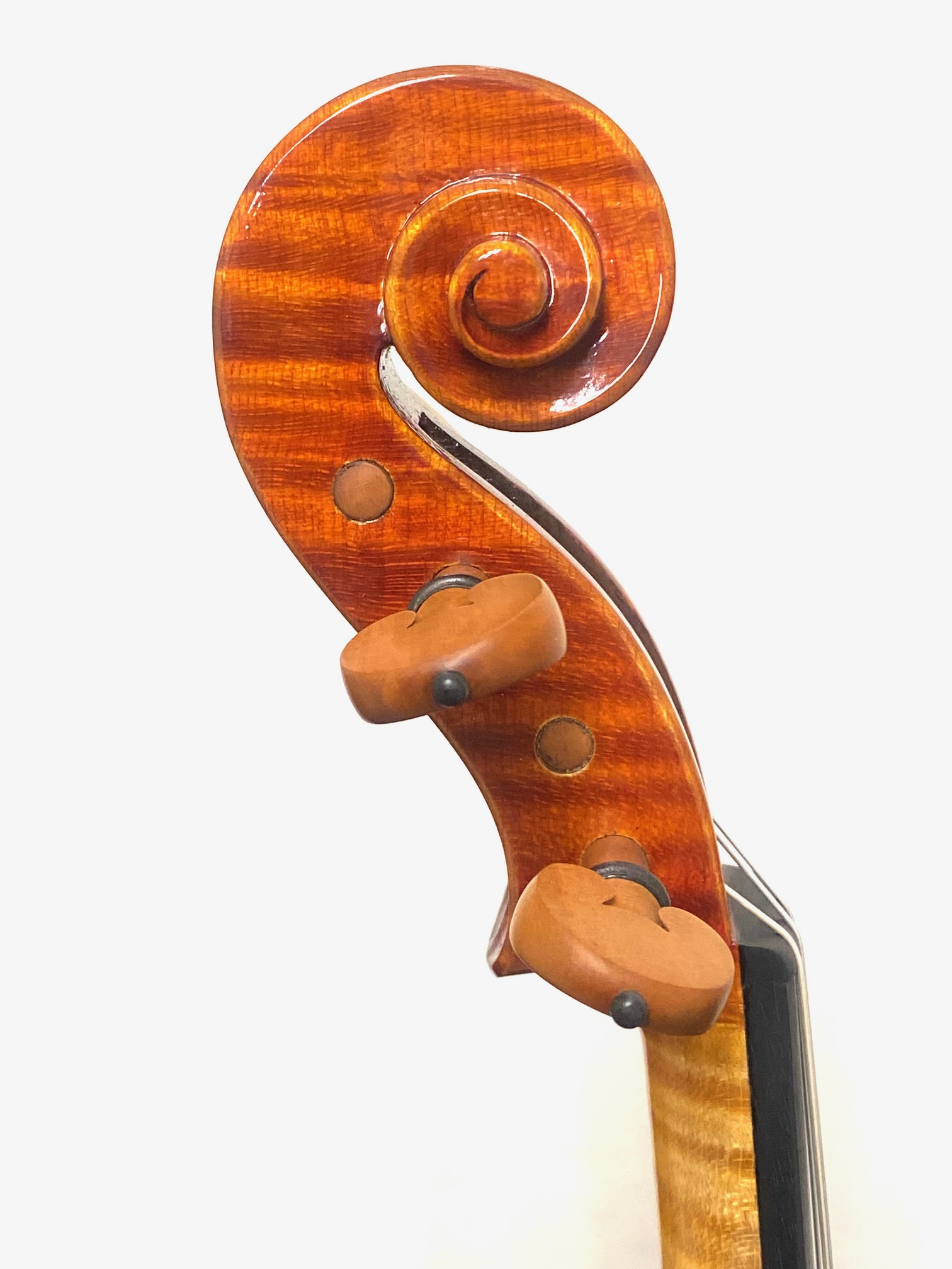 【Violin】Mario Pulvirenti 2024(マリオ・プルヴィレンティ)