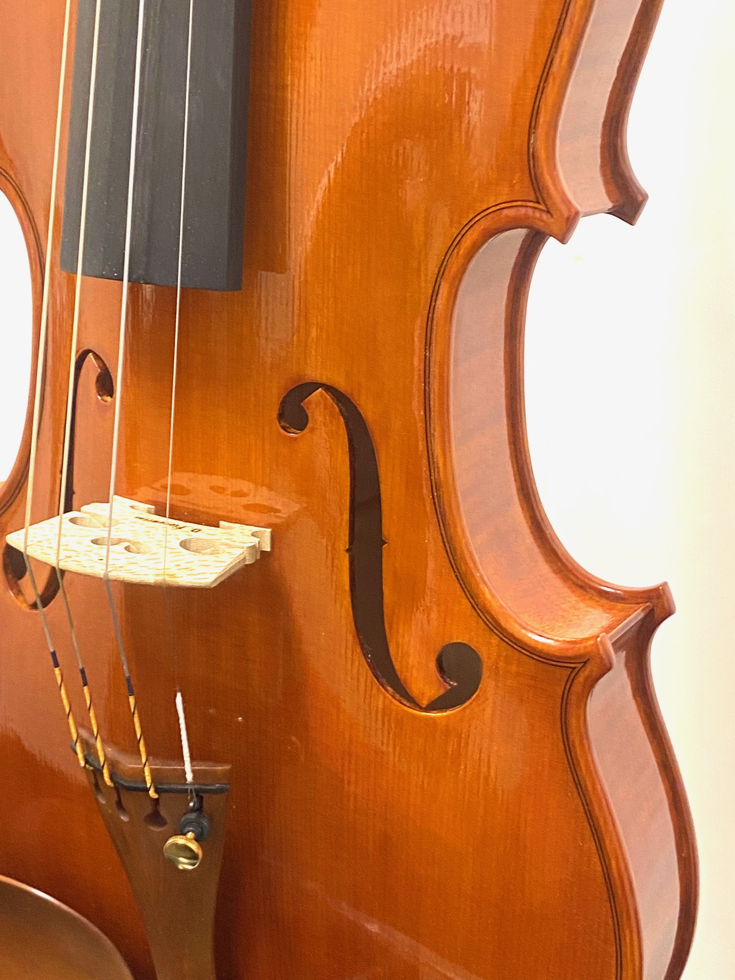 【Violin】Danilo Fiorentini 2025(ダニーロ・フィオレンティーニ)