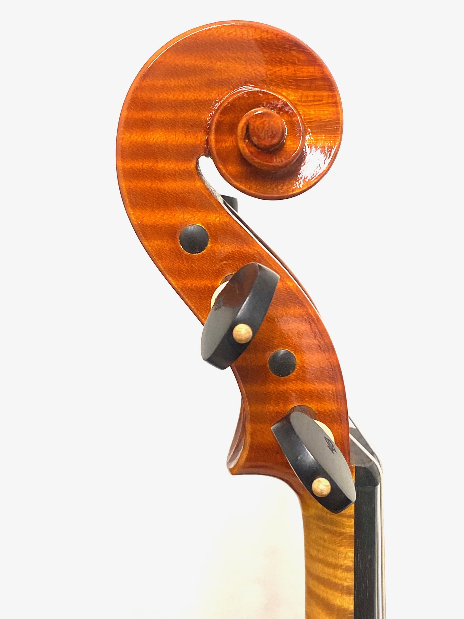 【Violin】Alessandro Menta 2025「Ponchielli」(アレッサンドロ・メンタ)