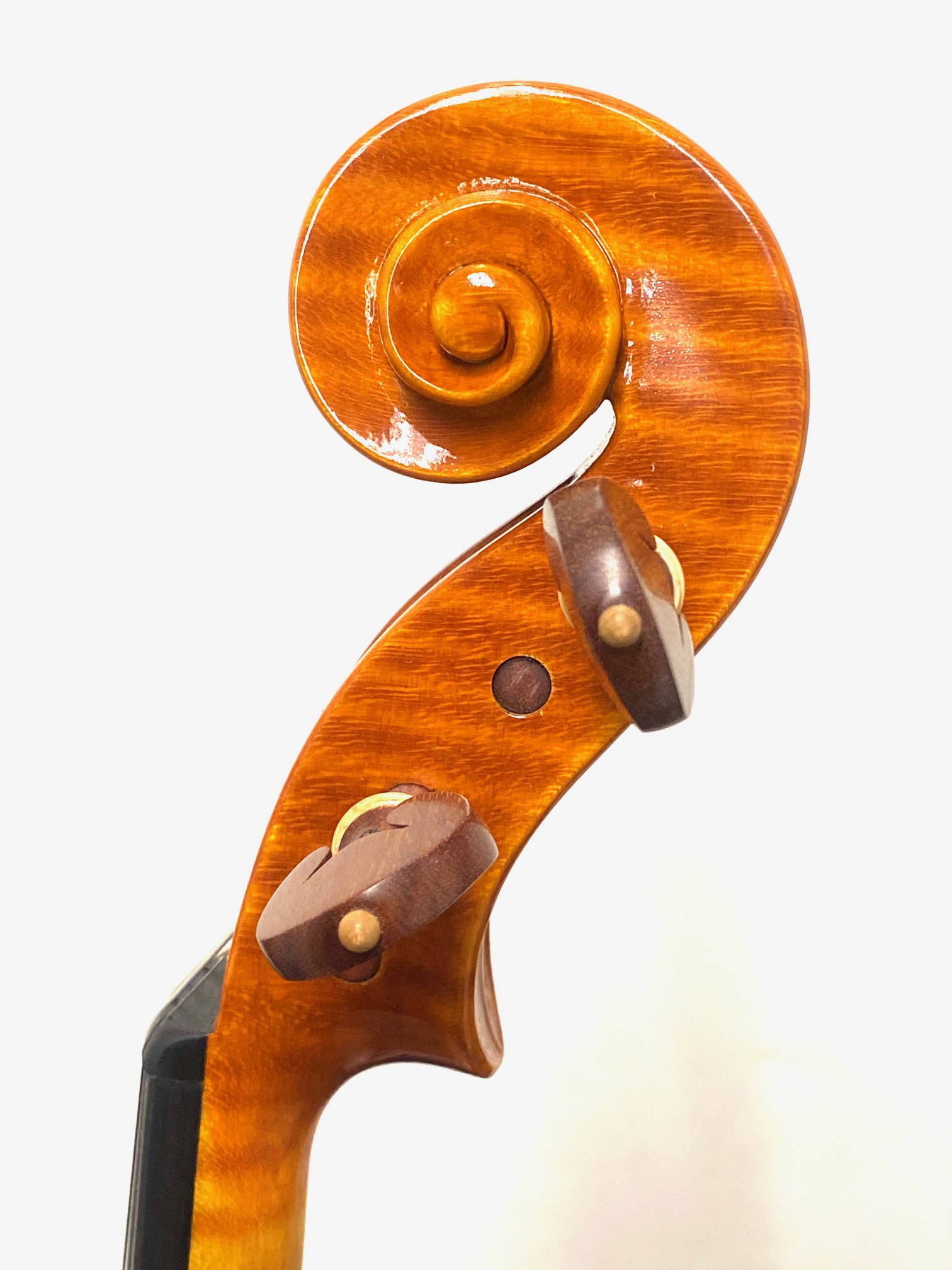 【Violin】Fabio Dalla Costa 2024(ファビオ・ダッラ・コスタ)40th Anniversary 記念モデル