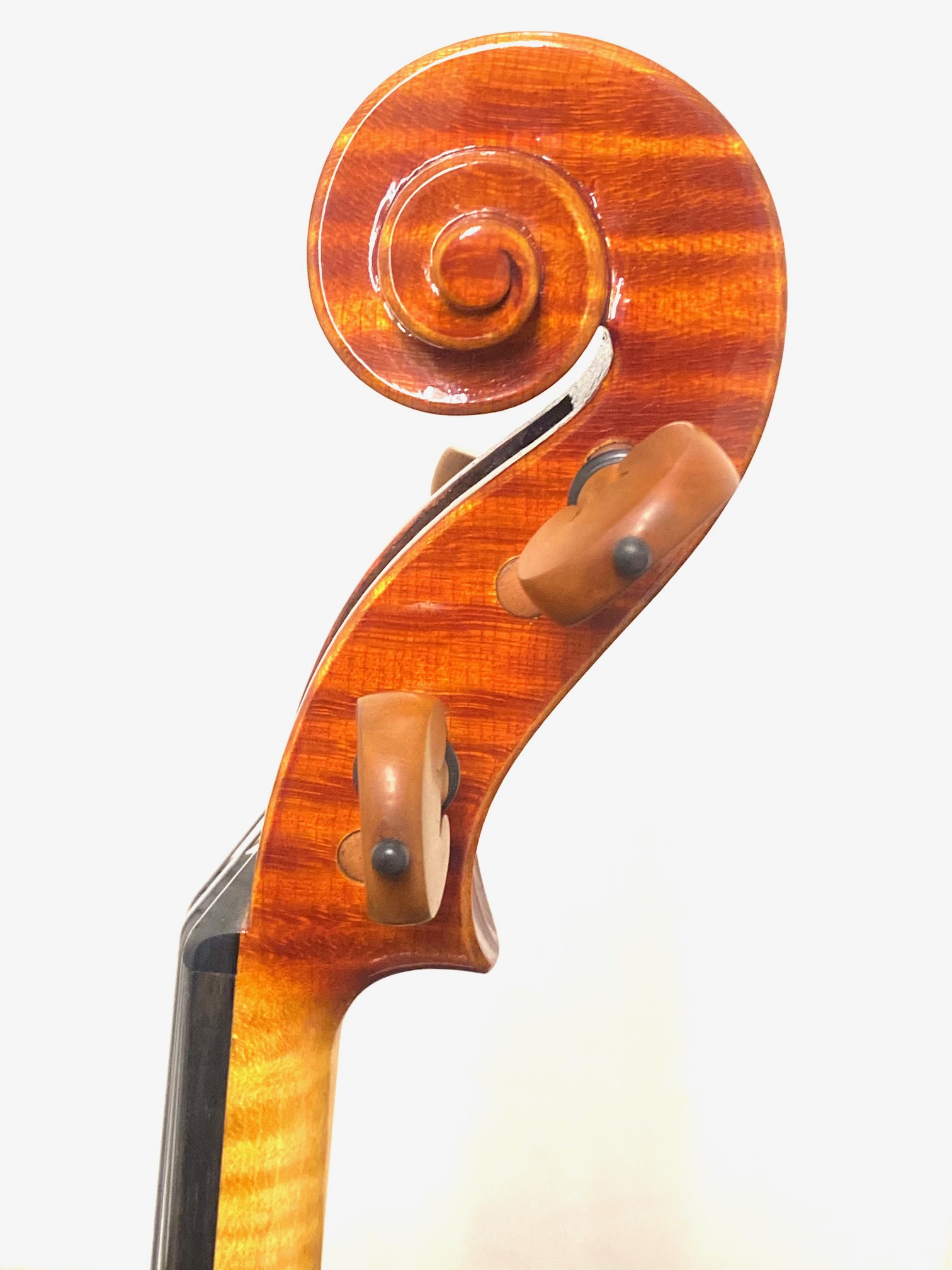 【Violin】Mario Pulvirenti 2024(マリオ・プルヴィレンティ)