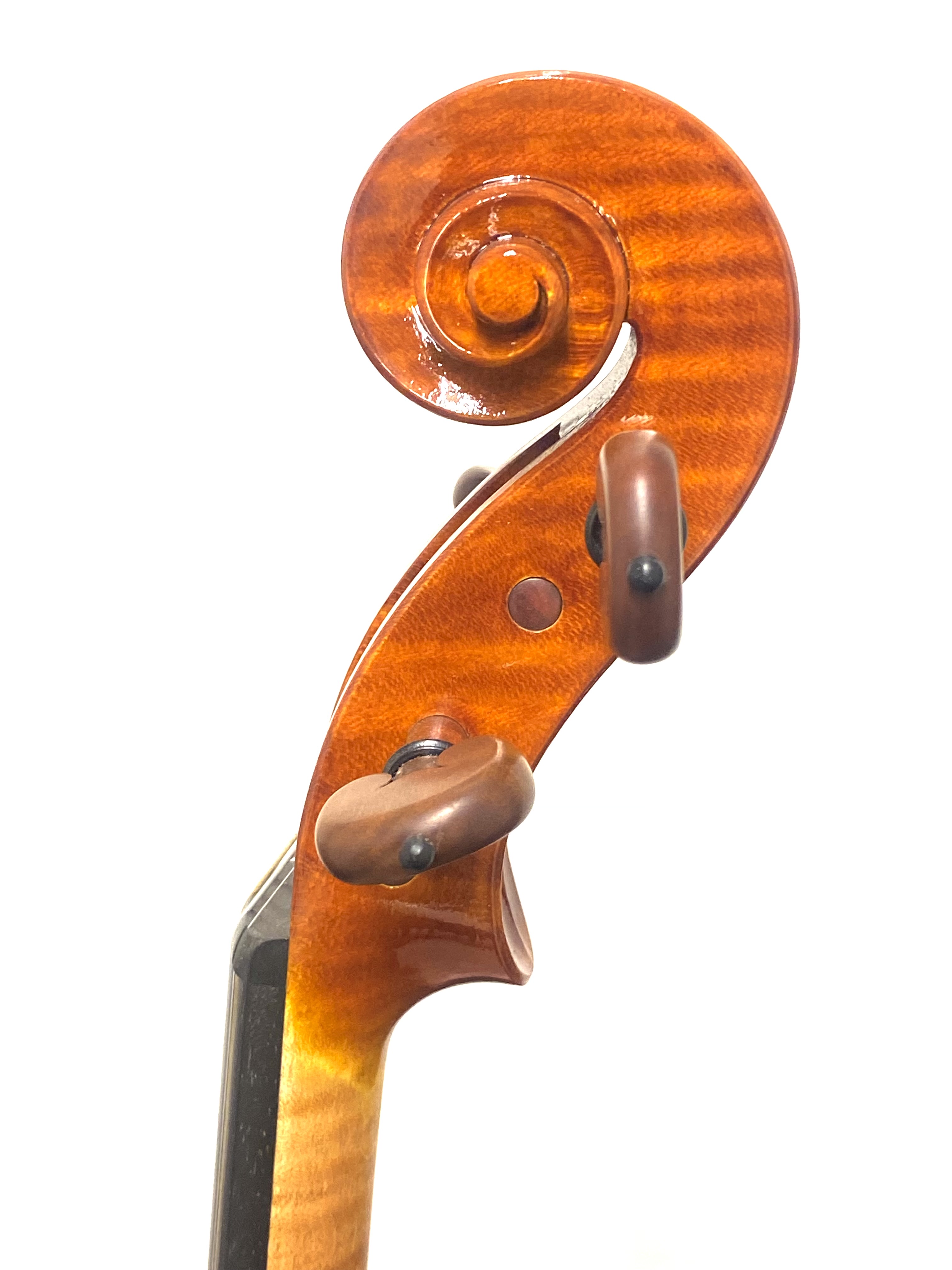 【Violin】Danilo Fiorentini 2025(ダニーロ・フィオレンティーニ)