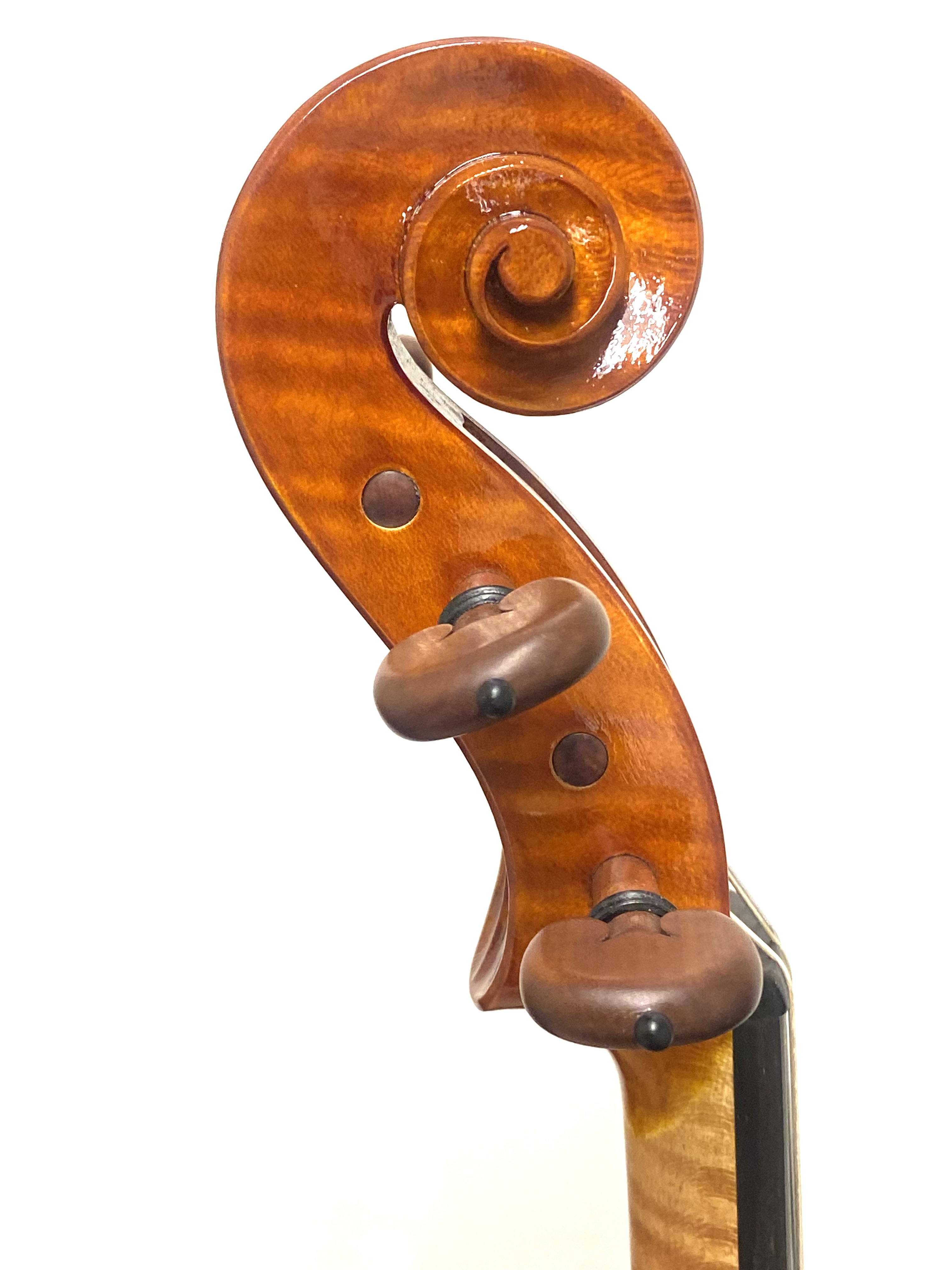 【Violin】Danilo Fiorentini 2025(ダニーロ・フィオレンティーニ)