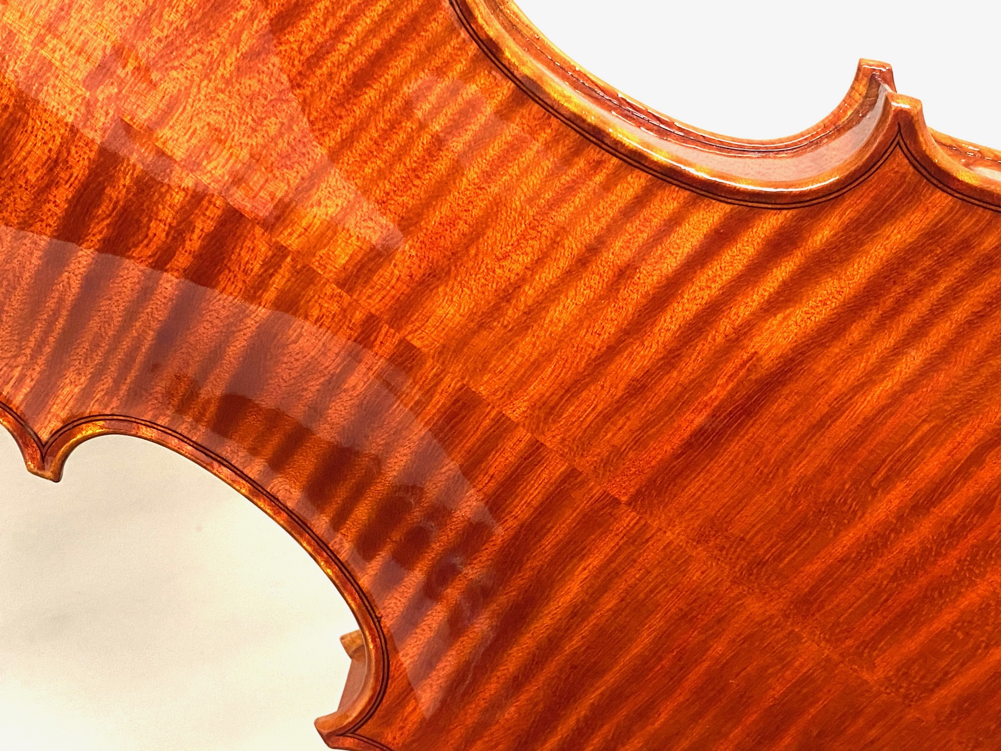 【Violin】Mario Pulvirenti 2024(マリオ・プルヴィレンティ)