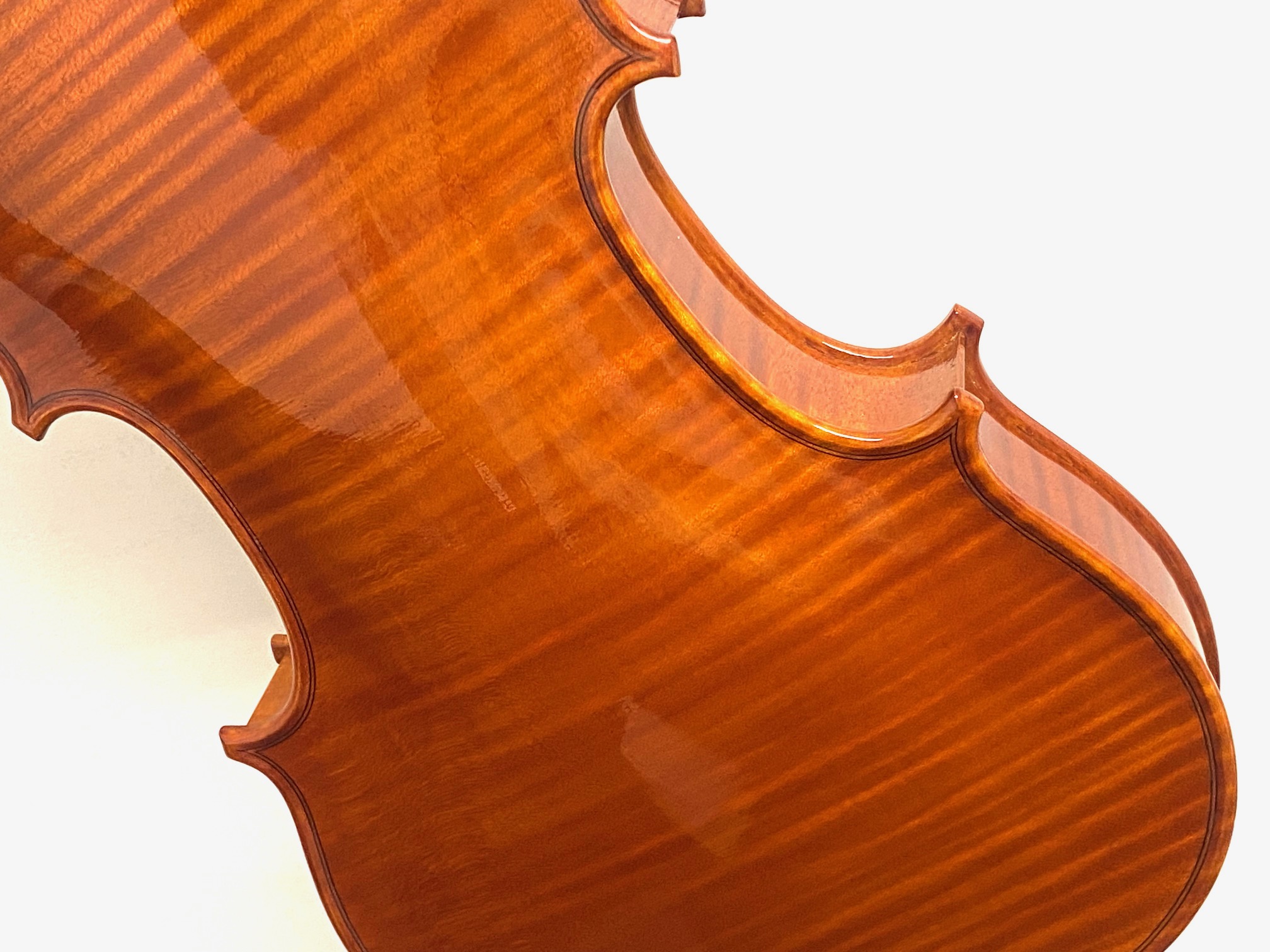 【Violin】Danilo Fiorentini 2025(ダニーロ・フィオレンティーニ)