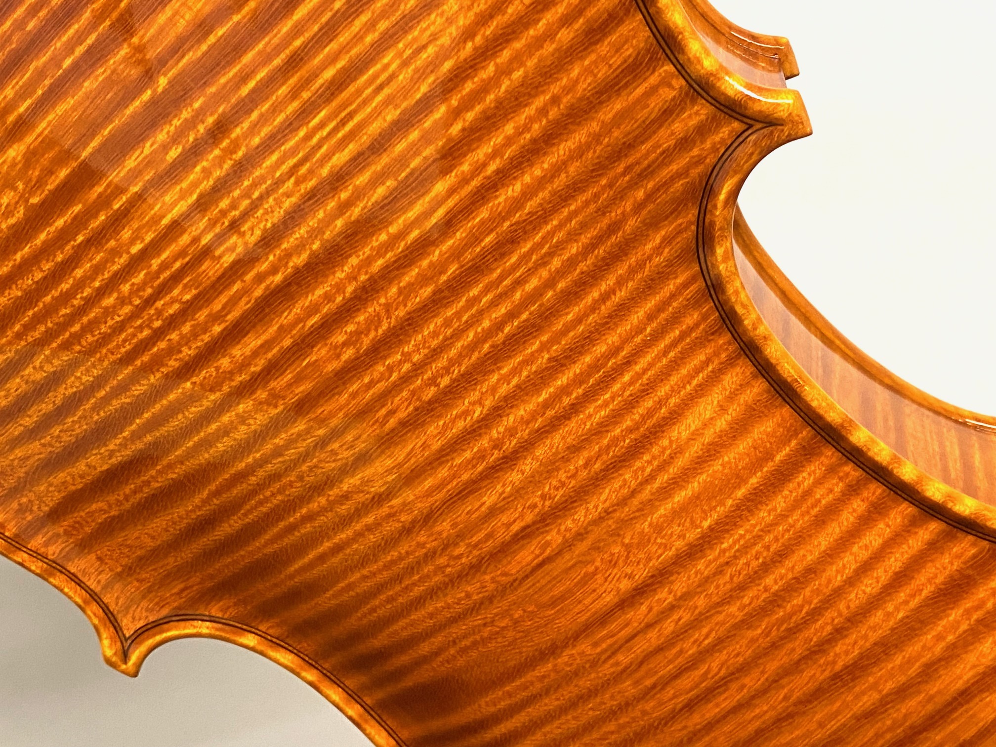 【Violin】Fabio Dalla Costa 2024(ファビオ・ダッラ・コスタ)40th Anniversary 記念モデル