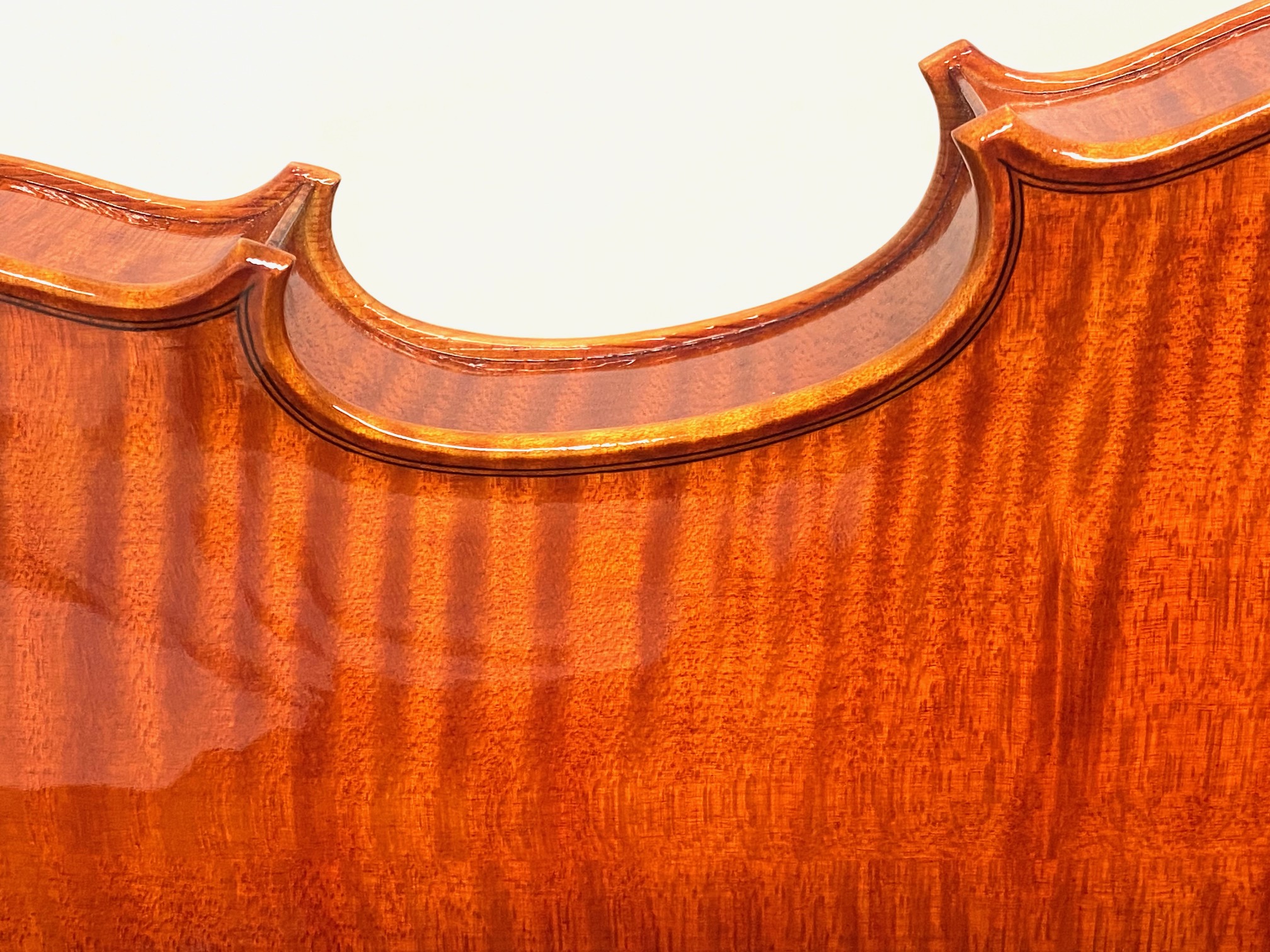 【Violin】Mario Pulvirenti 2024(マリオ・プルヴィレンティ)