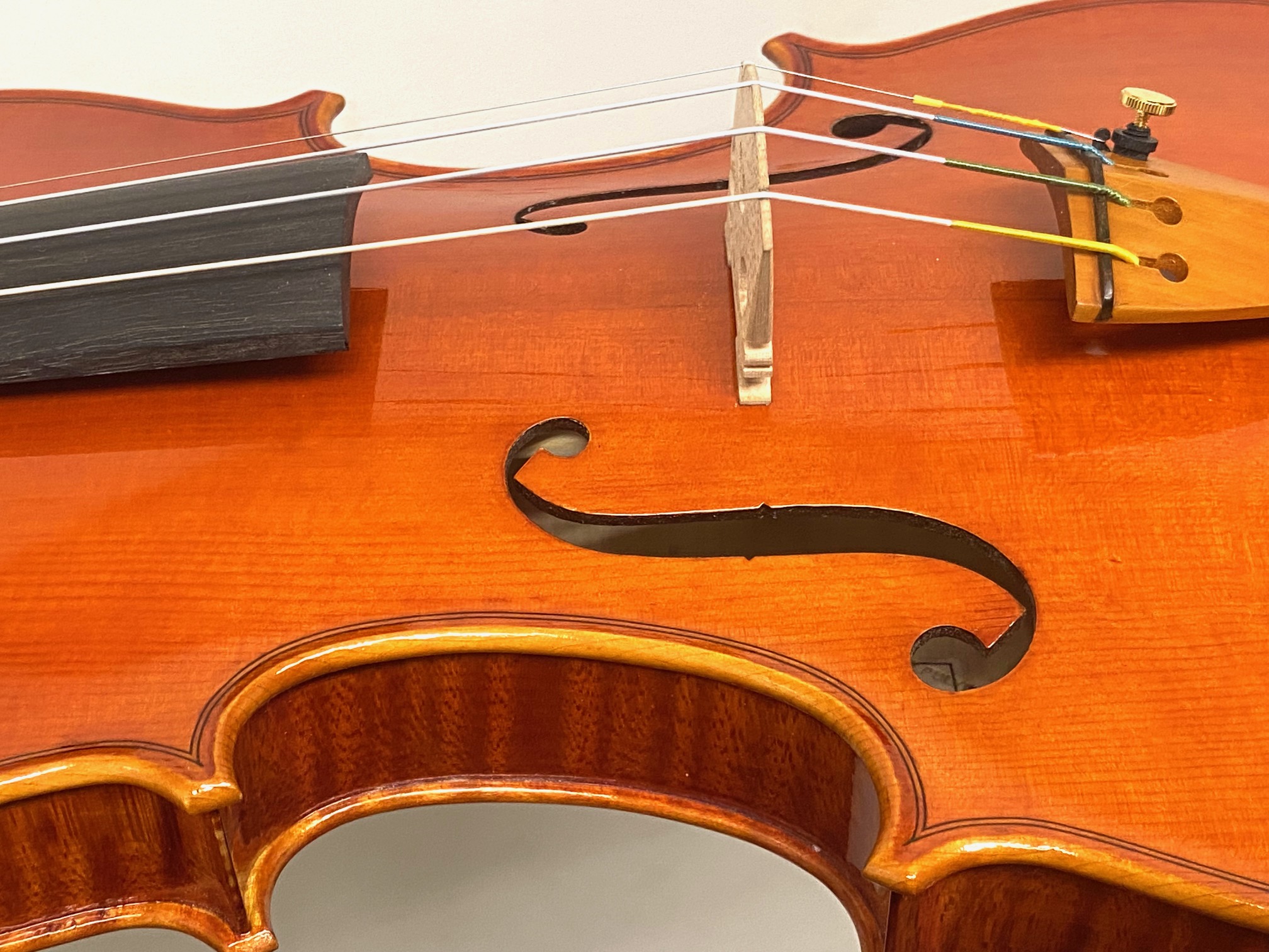 【Violin】Mario Pulvirenti 2024(マリオ・プルヴィレンティ)