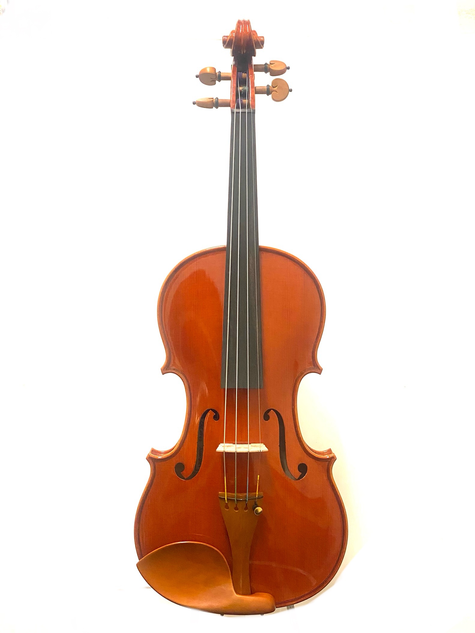 【Violin】Mario Pulvirenti 2024(マリオ・プルヴィレンティ)