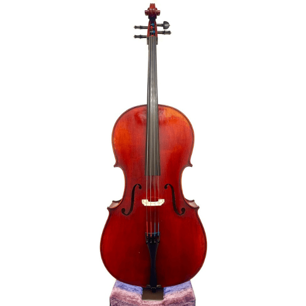 【Cello】EASTMAN VC501（イーストマン）