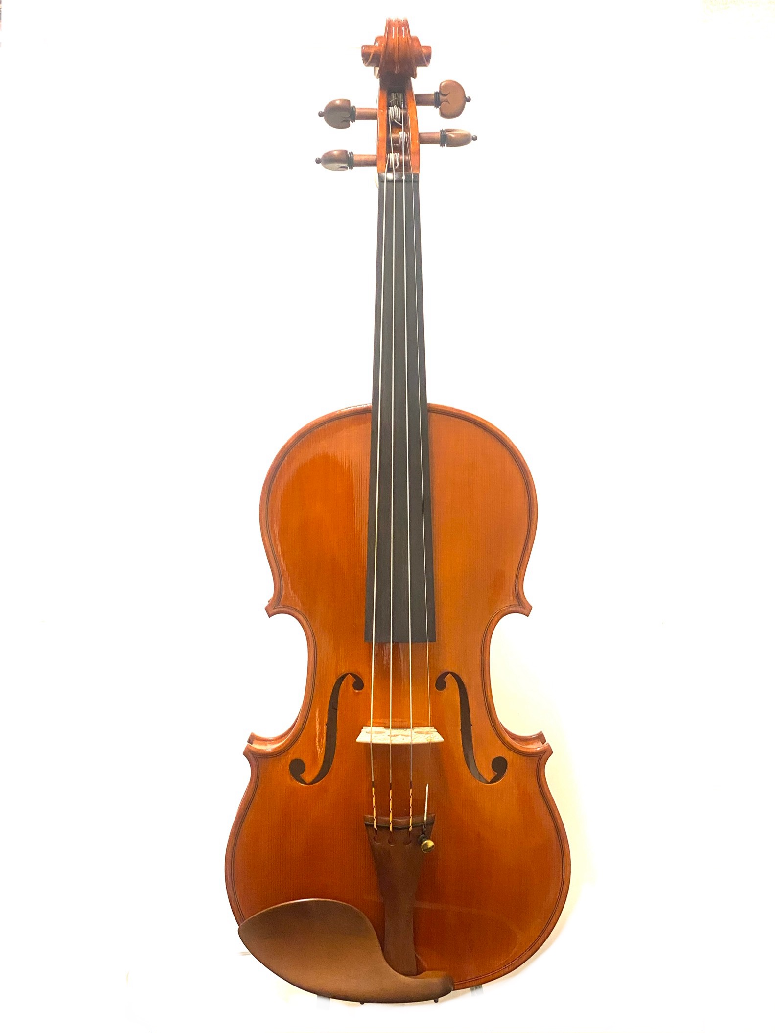 【Violin】Danilo Fiorentini 2025(ダニーロ・フィオレンティーニ)